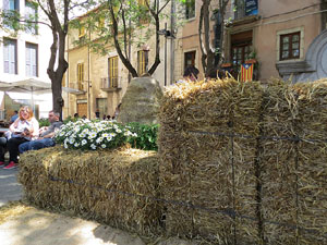 Temps de Flors 2015. Carrer Albereda, Rambla Verdaguer i voltants