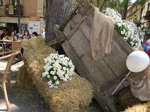 Temps de Flors 2015. Carrer Albereda, Rambla Verdaguer i voltants