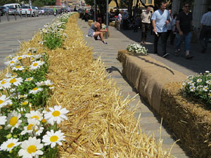 Temps de Flors 2015. Carrer Albereda, Rambla Verdaguer i voltants