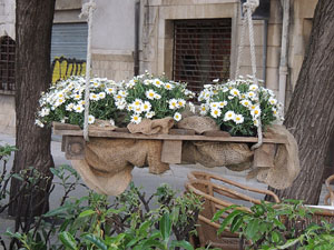 Temps de Flors 2015. Carrer Albereda, Rambla Verdaguer i voltants