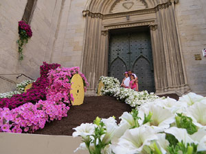 Temps de Flors 2015. Carrer Albereda, Rambla Verdaguer i voltants