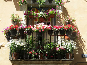 Temps de Flors 2015. Carrer Albereda, Rambla Verdaguer i voltants