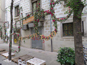 Temps de Flors 2015. Carrer Albereda, Rambla Verdaguer i voltants