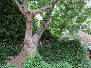 Temps de Flors 2015. Jardins de l'&Agrave;ngel i de John Lennon