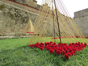 Temps de Flors 2015. Museu d'Art - Jard&iacute;