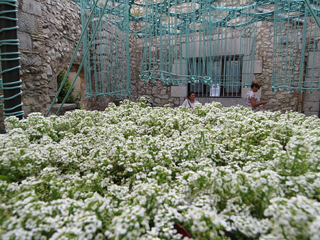 Temps de Flors 2015. Museu d'Art - Jard&iacute;
