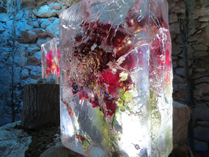 Temps de Flors 2015. La Casa de Lle&oacute; Avinay