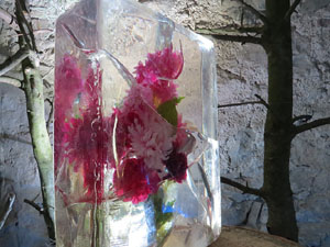 Temps de Flors 2015. La Casa de Lle&oacute; Avinay