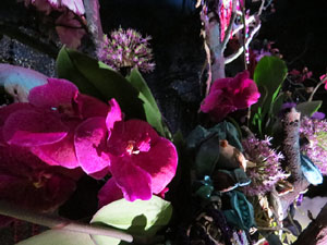 Temps de Flors 2015. La Casa de Lle&oacute; Avinay