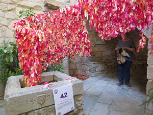Temps de Flors 2015. La Casa de Lle&oacute; Avinay