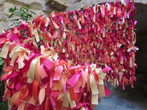 Temps de Flors 2015. La Casa de Lle&oacute; Avinay