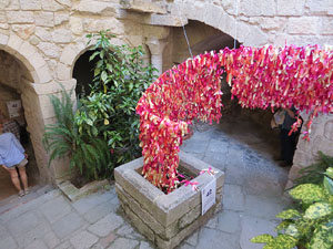 Temps de Flors 2015. La Casa de Lle&oacute; Avinay