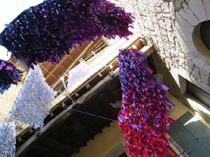 Temps de Flors 2015. La Casa de Lle&oacute; Avinay