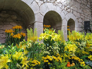 Temps de Flors 2015. Els Banys &Agrave;rabs