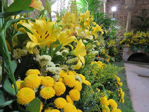 Temps de Flors 2015. Els Banys &Agrave;rabs