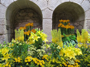 Temps de Flors 2015. Els Banys &Agrave;rabs