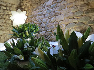 Temps de Flors 2015. Els Banys &Agrave;rabs