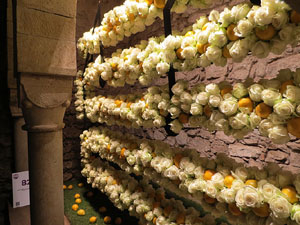 Temps de Flors 2015. Els Banys &Agrave;rabs