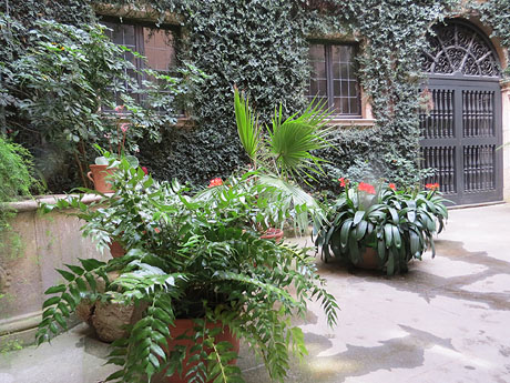 Temps de Flors 2015. El Palau de Caramany