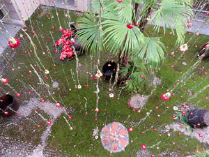 Temps de Flors 2015. Les escales de la Catedral i voltants