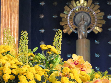 Temps de Flors 2015. Palaus, patis i espais del carrer Ciutadans
