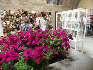 Temps de Flors 2015. Palaus, patis i espais del carrer Ciutadan