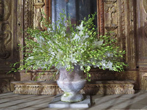 Temps de Flors 2015. Decoraci&oacute; floral del claustre de la Catedral