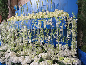 Temps de Flors 2015. Decoraci&oacute; floral del claustre de la Catedral