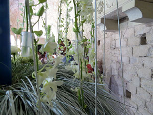 Temps de Flors 2015. Decoraci&oacute; floral del claustre de la Catedral