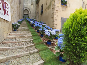 Temps de Flors 2015. Escales de Sant Feliu