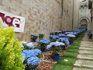 Temps de Flors 2015. Escales de Sant Feliu
