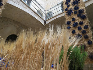 Temps de Flors 2015. Caixaf&ograve;rum Girona - Fontana d'Or