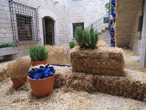 Temps de Flors 2015. Caixaf&ograve;rum Girona - Fontana d'Or