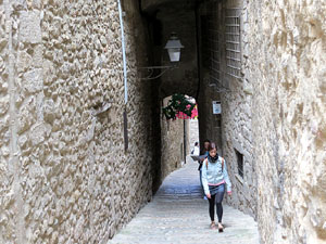 Temps de Flors 2015. Carrer de la For&ccedil;a. Patis, espais, carrerons