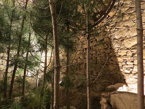 Temps de Flors 2015. La Torre Gironella