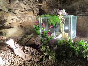 Temps de Flors 2015. La Torre Gironella