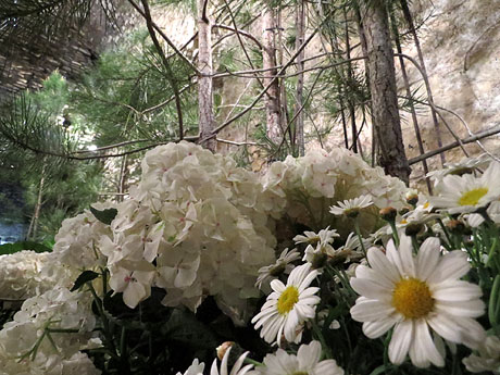 Temps de Flors 2015. Decoraci&oacute; floral de la Torre Gironella