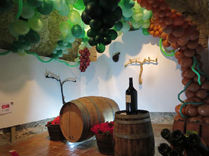Temps de Flors 2015. Museu d'Hist&ograve;ria de Girona