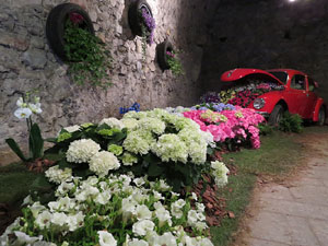 Temps de Flors 2015. Museu d'Hist&ograve;ria de Girona