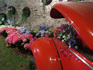 Temps de Flors 2015. Museu d'Hist&ograve;ria de Girona