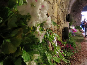 Temps de Flors 2015. Museu d'Hist&ograve;ria de Girona