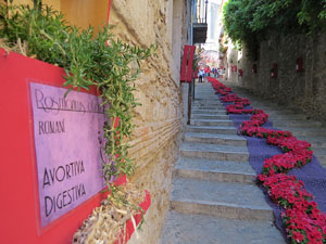 Temps de Flors 2015. Escales de la Pera