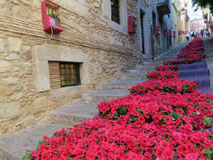 Temps de Flors 2015. Escales de la Pera