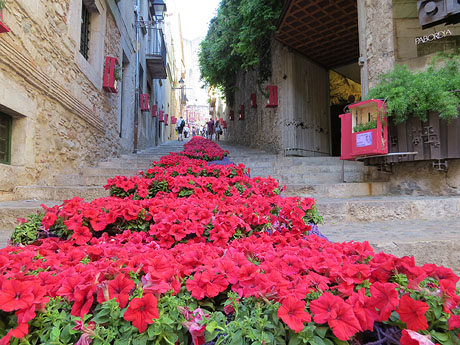 Temps de Flors 2015. Escales de la Pera