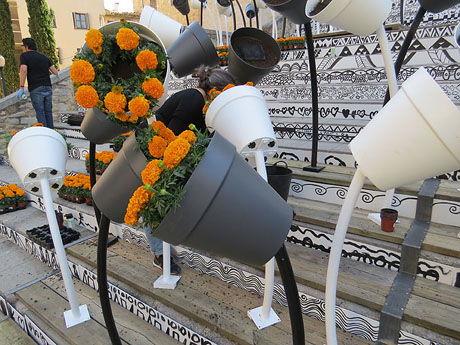 Temps de Flors 2015. Escales de Sant Feliu