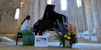 Música i Flors
