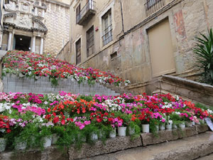 Temps de Flors 2015. Escales de la pujada de Sant Mart&iacute;