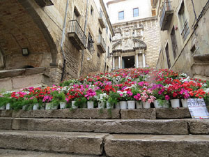 Temps de Flors 2015. Escales de la pujada de Sant Mart&iacute;