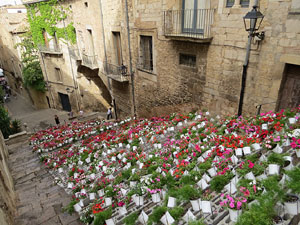Temps de Flors 2015. Escales de la pujada de Sant Mart&iacute;