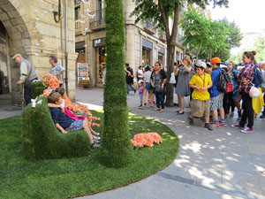 Temps de Flors 2015. La Rambla de la Llibertat